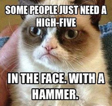 15+ of the Best Grumpy Cat Memes (Rest in Peace) | Mama's Geeky Grumpy Cat Meme, Grumpy Cat Quotes, Grumpy Cats, Cat Jokes, Grumpy Cat Humor, Cat Quotes Funny, Funny Animal Quotes, Carl Grimes, I'm With The Band