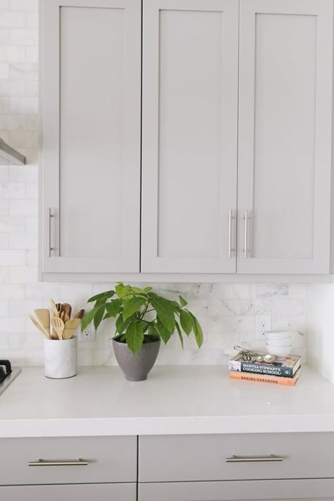 Mapleton Build – Shop House of Jade Caesarstone Organic White, Light Grey Kitchens, Light Gray Cabinets, Mindful Gray, White Counters, All White Kitchen, Kitchen Cabinets Makeover, Grey Kitchen Cabinets, Kitchen Farmhouse