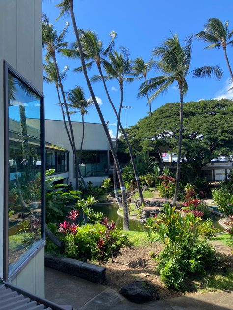 Airport Hawaii Travel Aesthetic, Hawaii Airport, Hawaii 2023, Aesthetic Tropical, Airport Aesthetic, Hawaii Oahu, Airport Travel, Adventure Vacation, Hawaii Life