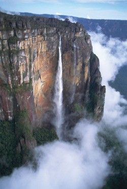 paradise falls. SOUTH AMERICA... The falls that where used in the movie Up. Angel Falls Venezuela, Monte Roraima, Mount Roraima, Angel Falls, Paradise Falls, Famous Waterfalls, Have Inspiration, Beautiful Waterfalls, Fallen Angel