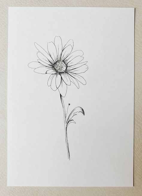 Daisy - April birth flower Daisy Flower Drawing, Small Daisy Tattoo, Daisy Tattoo Designs, Daisy Flower Tattoos, Daisy Drawing, May Birth Flowers, April Birth Flower, Bouquet Tattoo, April Flowers