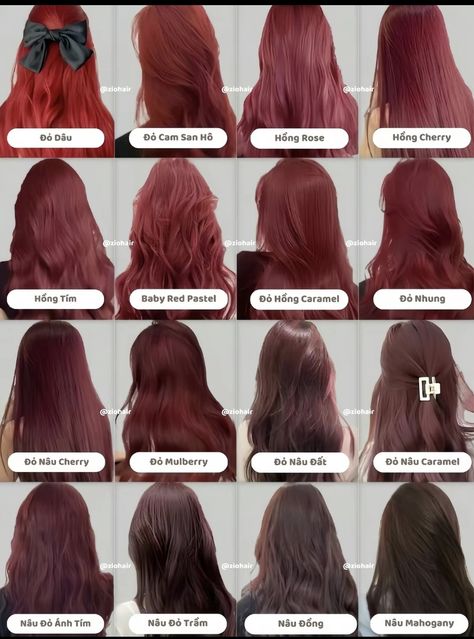 Kasey Aesthetic, Plum Hair, Ash Hair, Red Hair Inspo, Ash Hair Color, Hair Inspiration Long, Dance Like This, Pretty Hair Color, Color Inspo