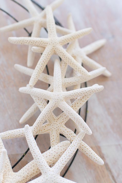 Coastal Wreaths Front Doors, Coastal Ideas, Starfish Wreath, Starfish Wall Decor, Diy Nautical, Sea Shells Diy, Beachy Stuff, Beach Themed Crafts, Florida Decor