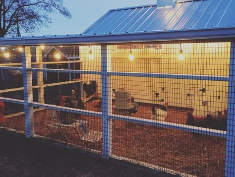 Feed Room, Chicken Raising, Portable Chicken Coop, Chicken Life, Best Chicken Coop, Chicken Coop Designs, Chicken Garden, Diy Chicken, Coop Plans