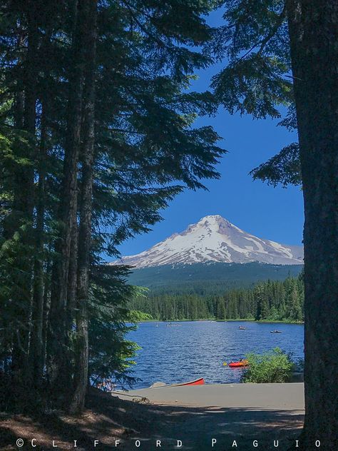 https://www.facebook.com/PortlandOregonPhotos/photos/a.159710804206344/1576346055876138/ Trillium Lake, Oregon Life, Mt Hood, Crater Lake, Travel Companies, Oregon Coast, Magical Places, Fabric Art, Portland Oregon