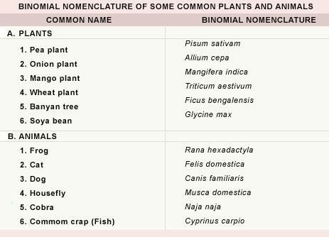 Binomial nomenclature of some species Children's Day Message, Names Of Plants, Mango Plant, Plant Classification, Pea Plant, Neet Exam, Biology Facts, Common Names, Small Letters