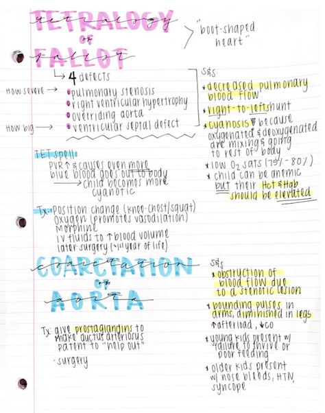 Tetralogy of fallot nursing notes Tetralogy Of Fallot Mnemonic, Pediatric Respiratory Disorders Nursing, Pediatric Nursing Mnemonics, Pediatric Cardiac Nursing, Tetralogy Of Fallot Nursing, Nicu Nursing Notes, Obstetrics Nursing Notes, Neonatal Nurse Notes, Advanced Med Surg Nursing