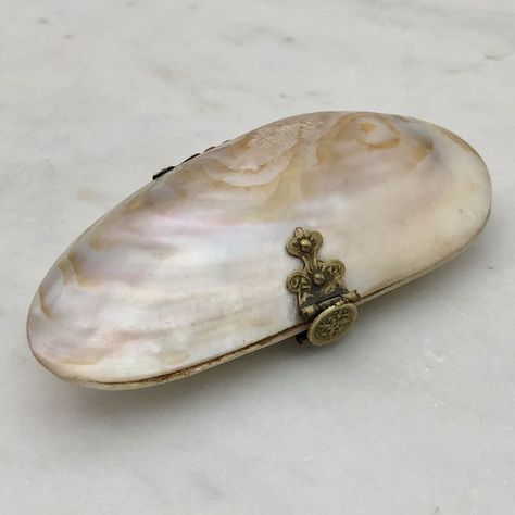 Shell Coin Purse, Upcycled Accessories, Shell Purse, Natural Textiles, Pearl Shell, Girly Jewelry, Marie Antoinette, Watches Jewelry, Aesthetic Photography