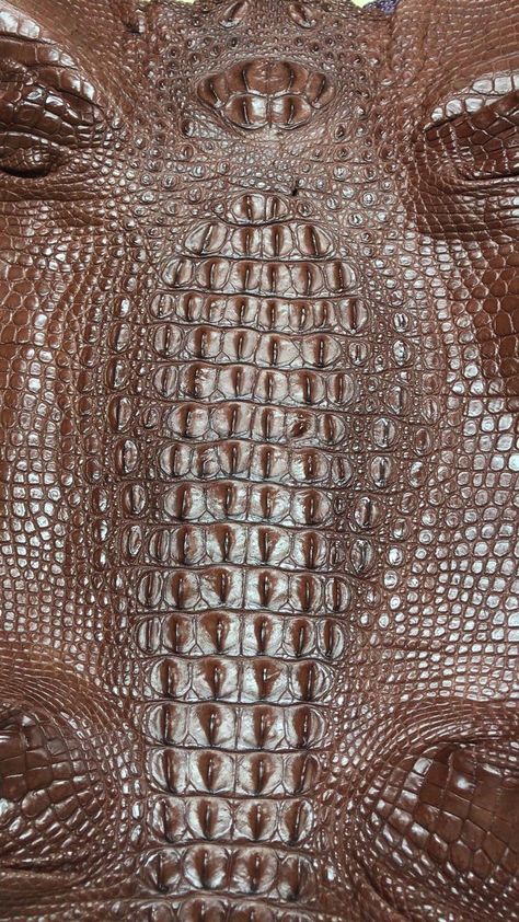 Alligator Skin Rug, Alligator Skin Wallpaper, Crocodile Sweater, Alligator Skin Boots, Crocodile Leather Texture, Alligator Costume, Texture References, Odd Fashion, Nile Crocodile