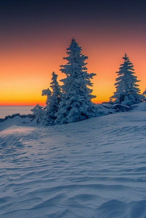 Winter Sunset Pictures, Snowy Sunset, Winter Sunsets, Winter Landscape Photography, Winter Gold, Artsy Background, Winter Lake, Pastel Landscape, Wildlife Prints