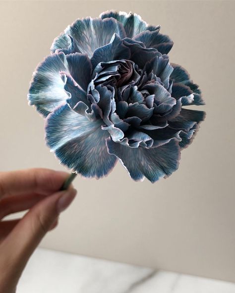 Carnation Flower Aesthetic, Blue Carnations, Dyed Flowers, Nothing But Flowers, Carnation Flower, Flower Therapy, Beautiful Bouquet Of Flowers, Plant Mom, Edible Flowers