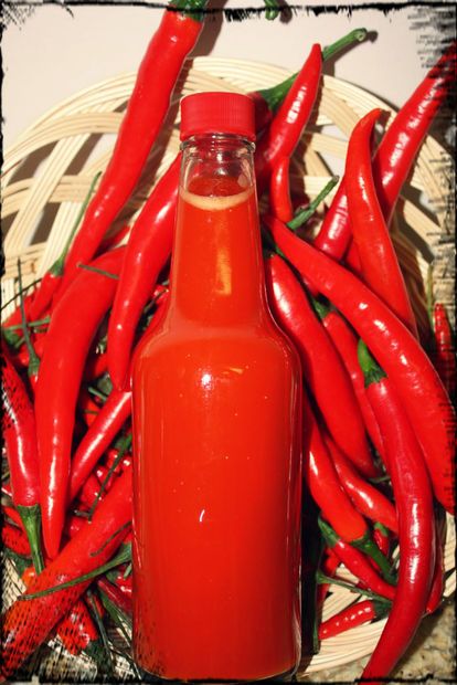 Homemade Tabasco Sauce Recipe, Hot Sauce Aesthetic, Tabasco Sauce Recipe, Fermented Peppers, Chili Pepper Recipes, Pepper Sauce Recipe, Fermented Kimchi, Homemade Hot Sauce, Cheesy Hashbrowns