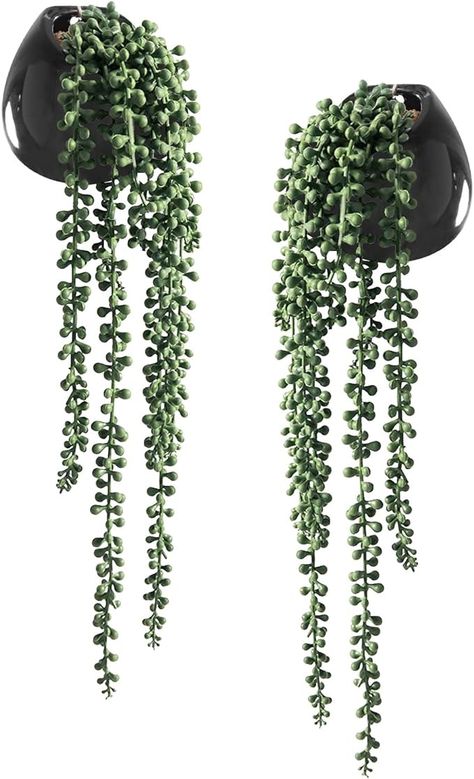 Amazon.com: Tiita Artificial Hanging Plants, Faux Succulents in Pots, Realistic String of Pearls Plants for Home Office Accessories Window Sill Bathroom Bedroom Fake in Black Ceramic Pots, Set of 2 : Home & Kitchen Plants For Home Office, Succulents Hanging, String Of Pearls Plant, Artificial Eucalyptus Garland, Pots Set, White Ceramic Planter, Artificial Hanging Plants, Purple Succulents, Hanging Succulents