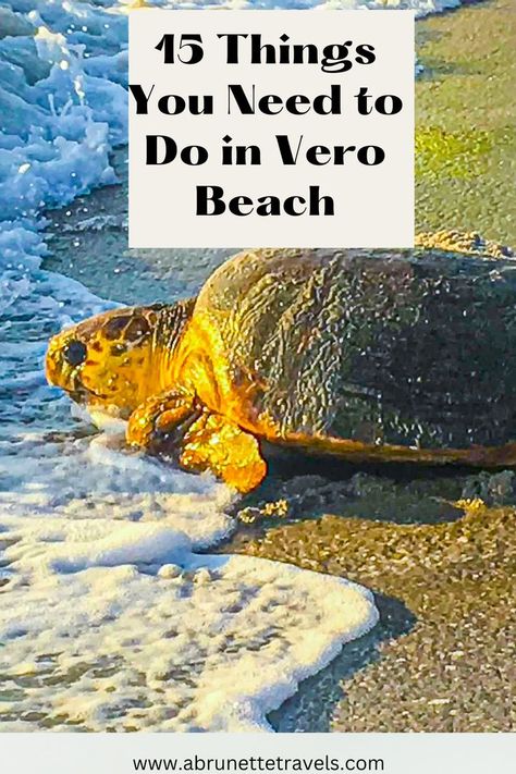 Things To Do In Vero Beach Fl, Vero Beach Florida Things To Do In, Beach Trip Tips, Beach 2024, Juno Beach, Vero Beach Florida, Treasure Coast, Vero Beach Fl, Beach Vacay