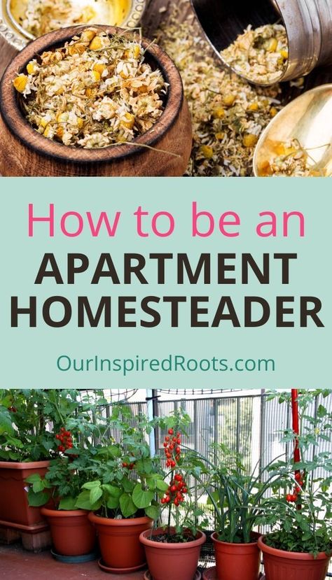 Homesteading Apartment, Homestead Apartment, Apartment Homesteading, Homesteading Diy Projects, Modern Homestead, Urban Homestead, Healty Dinner, Modern Homesteading, Homestead Life