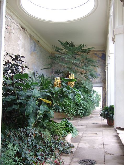 the orangery - calke abbey | vickie | Flickr Ancient Interior, Overgrown Interior, Monet Orangerie, Castle Ashby Orangery, Calke Abbey, Cambridge Butterfly Conservatory, Victorian Conservatory, Abandoned Greenhouse Aesthetic Dark, Inside Interiors