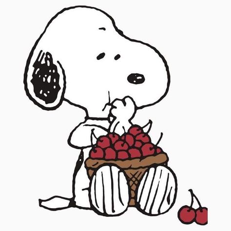 snoopy Snoopy Eating, Cherry Images, Cherry Drawing, Snoopy Drawing, Woodstock Snoopy, Cherry Charm, Cherry Season, Peanuts Cartoon, Snoopy Images