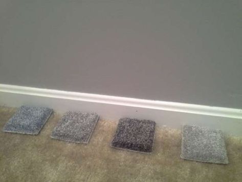 10+ Top Best Carpet Color For Light Gray Walls Gallery -  -  #bestcarpetcolorforlightgraywalls #bestcarpetcolorforlightgreywalls #bestcolourcarpetforlightgreywalls Check more at https://color-combination.com/10-top-best-carpet-color-for-light-gray-walls-gallery/ Farmhouse Living Room Carpet, Dark Grey Carpet, Carpet Diy, Carpet Wall, White Stairs, Dark Carpet, Dark Grey Walls, Gray Walls, Light Grey Walls