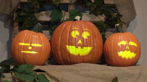 Project these Singing Pumpkins Effects onto a trio of uncarved pumpkins. Singing Pumpkins, Animated Pumpkins, Pumpkin Display, Halloween Music, Horror Picture Show, Pumpkin Jack, Time Warp, Monster Mash, Halloween Displays