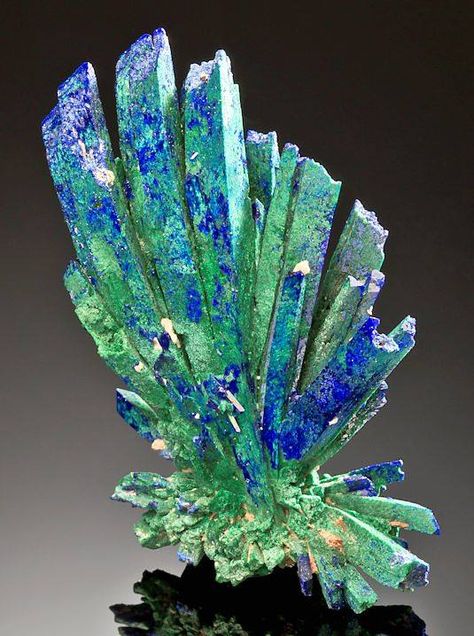 Azurite Crystals, Geology Rocks, Rock Minerals, Pretty Rocks, Beautiful Rocks, Mineral Stone, Minerals And Gemstones, Rocks And Gems, Precious Gems