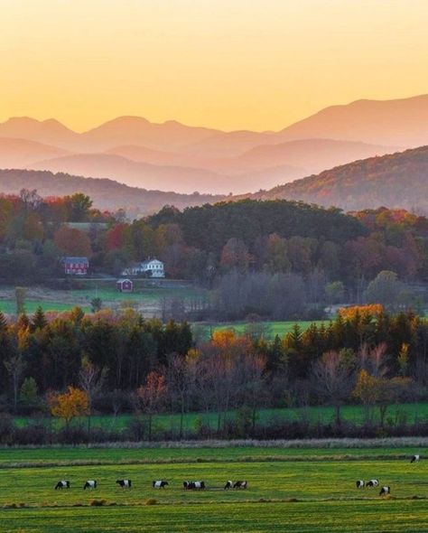 Middlebury, Vermont @yankeemagazine Middlebury College, Middlebury Vermont, Vermont Fall, Mountain Vibes, New England Fall, College Aesthetic, Happy Buddha, Afterschool Activities, Be Real