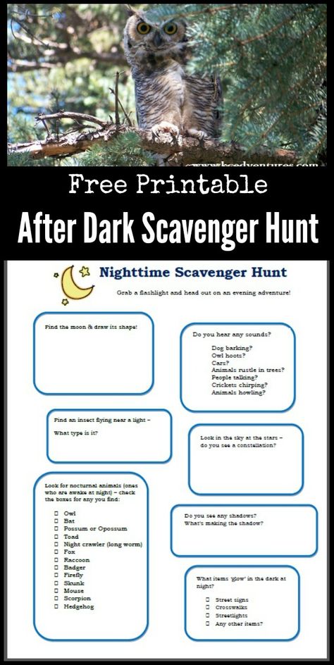 Grab a flashlight & see what happens in the dark with this FREE printable Nighttime scavenger hunt for kids, tweens & teens!  Fun idea for learning about nocturnal animals too.  Great idea for a summer night or birthday party game for kids too! Night Scavenger Hunt Outdoor, Flashlight Scavenger Hunt, Backyard Carnival, Scavenger Hunt List, Birthday Party Game, Birthday Party Games For Kids, Treasure Hunts, Scavenger Hunt For Kids, Scavenger Hunts