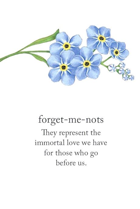 Forget Me Not Quotes Poem, Forget Me Not Flower Meaning, Forget Me Not Quotes, Forget Me Not Poem, Love Symbol Tattoos, Beautiful Flower Tattoos, Mom Life Quotes, Flower Meanings, Forget Me Nots