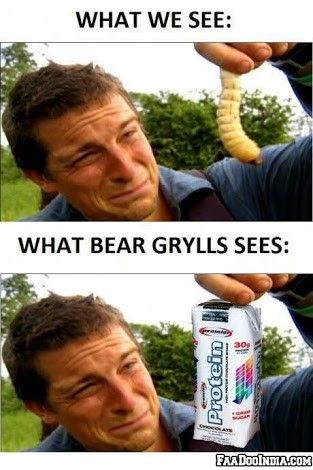 Survival Hatchet, That's Hilarious, Bear Grylls, Funny Attitude Quotes, School Jokes, Father And Daughter, Jokes And Riddles, Chuck Norris, Sarcastic Quotes Funny