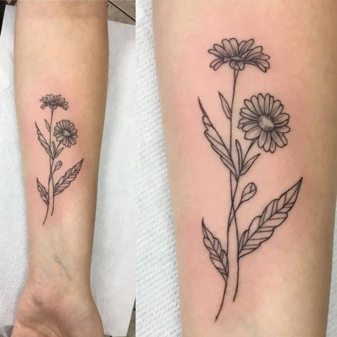 Top 53+ Best Aster Flower Tattoo Ideas - [2021 Inspiration Guide] Aster Forearm Tattoo, Aster Tattoos For Women, Goldenrod And Aster Tattoo, Asher Flower Tattoo, Aster And Daffodil Tattoo, Aster Flower Tattoo With Name, Aster Bouquet Tattoo, Small Aster Flower Tattoo, Daisy Name Tattoo