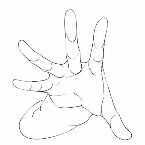 Hands Reference, Hand References, Hand Poses, Draw Hands, Anime Hands, Drawing Hands, Body Drawing Tutorial, Human Anatomy Drawing, Hand Drawing Reference