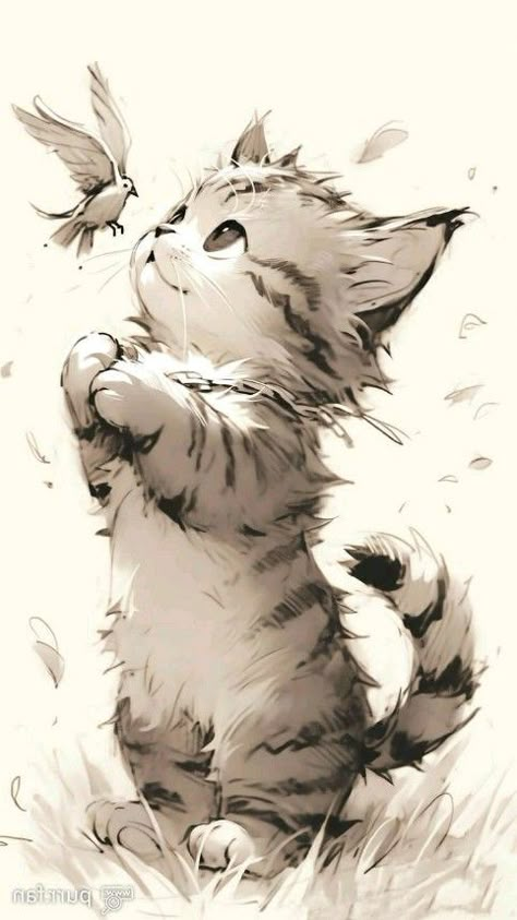 Cat And Butterfly Painting, Cat Phone Wallpaper, Cat Sketch, Cat Posters, Dreamy Art, Cat Wallpaper, Cute Animal Drawings, Cat Painting, Cat Drawing