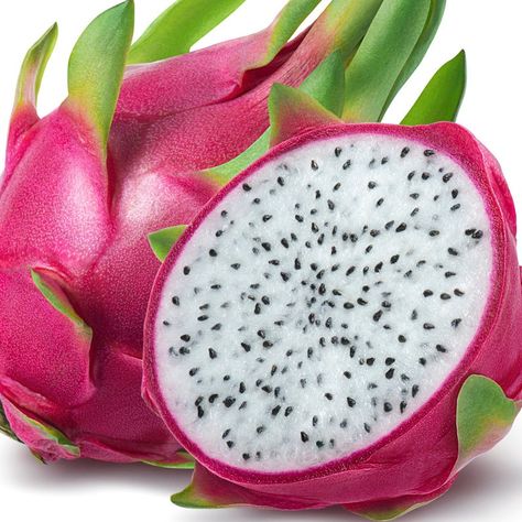 Dragon Fruit Photography, Dragon Fruit Pictures, Alien Fruit, Inside Fridge, Dragon Fruit Cactus, Thanh Long, Cactus Types, Fruit Picture, Rare Seeds