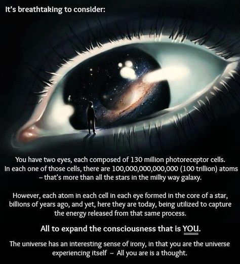 You are the universe Info Board, Space Facts, E Mc2, Milky Way Galaxy, Quantum Physics, Science Facts, To Infinity And Beyond, Space And Astronomy, An Eye