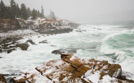 Acadia National Park Winter, Acadia National Park Camping, Maine Winter, England Coast, New England Coast, Fishing Shack, Cherry Jam, Horse Camp, Camping Places