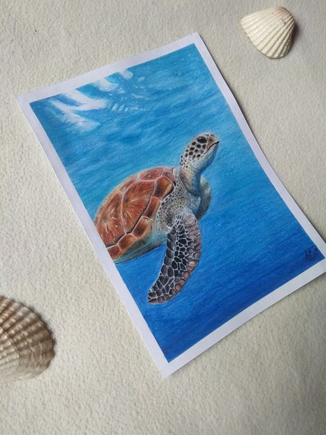 Sea Turtle Drawing Colored Pencil, Summer Colored Pencil Drawings, Tortoise Drawing, Sea Turtle Drawing, Colour Pencil Drawing, Sea Drawing, Turtle Drawing, Beautiful Art Paintings, Colour Pencil