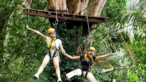 Showing item 3 of 5. 3 of 5 photos Queensland Rainforest, Queensland Travel, Zip Lining Adventure, Cape Tribulation, Angry Quote, Sky Bridge, Daintree Rainforest, Port Douglas, Thailand Holiday