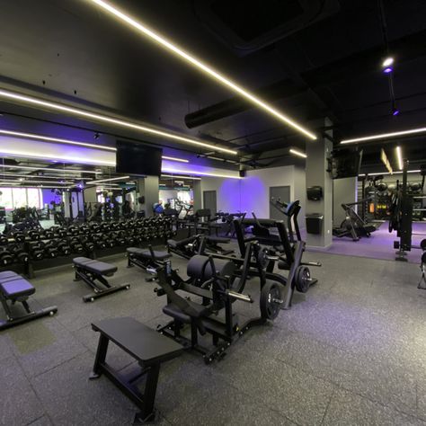 Anytime Fitness Gym, Purple Filter, Commercial Gym Design, Gym Designs, Warehouse Gym, Fitness Center Design, Small Home Gym Ideas, Gym Lighting, Fitness Branding