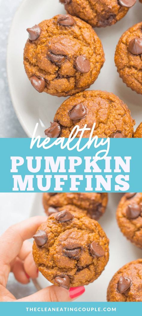 Clean Food Crush Pumpkin Muffins, Low Calorie Pumpkin Chocolate Chip Muffins, Low Sugar Pumpkin Muffins, Low Calorie Pumpkin Muffins, Healthy Pumpkin Muffins, Low Calorie Pumpkin, Healthy Low Calorie Snacks, Gluten Free Pumpkin Muffins, Oats Chocolate