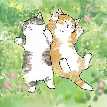 Sand Cat, Kitten Drawing, 강아지 그림, Cat Icon, Anime Cat, Cat Drawing, Green Aesthetic, 귀여운 동물, Anime Scenery