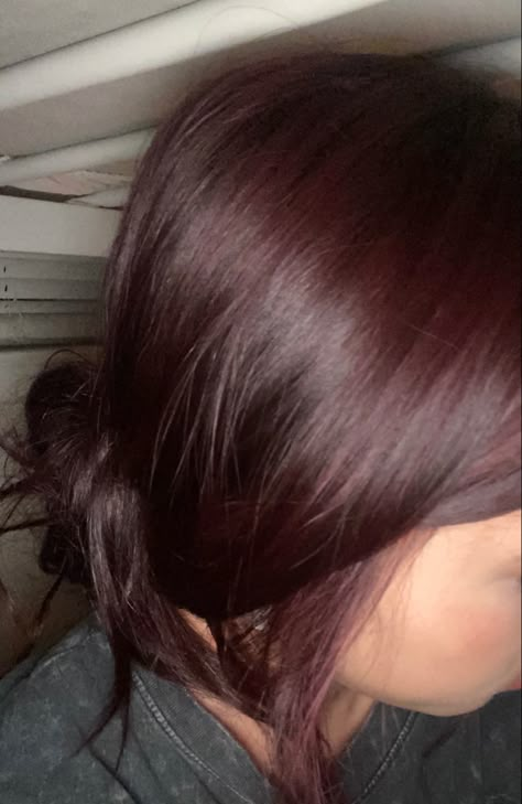 Highlight Hair Ideas, Up Do Hair Styles, Pelo Color Vino, Black Cherry Hair, Wine Hair Color, Highlight Hair, Cherry Red Hair, Wine Red Hair, Cute Hairstyles For School