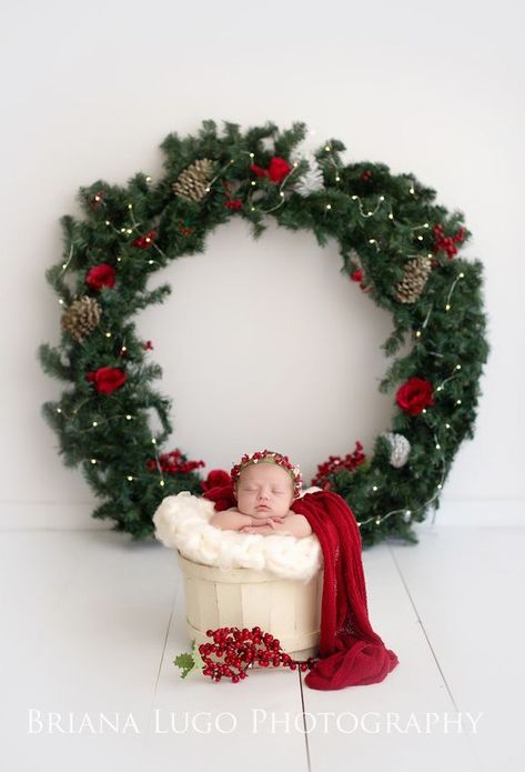 Backdrop Minimalist Christmas Photoshoot, Newborn Christmas Photography, Christmas Photoshoot Kids, Outdoor Christmas Photos, Christmas Mini Shoot, Studio Baby Photography, Newborn Christmas Photos, Christmas Newborn, Baby Backdrop