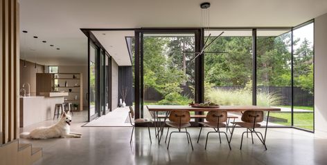 Yo Ju Courtyard House by Wittman Estes is bookended by gardens Chinese Courtyard, Lots Of Natural Light, Concrete Path, Chinese Landscape Painting, Chinese Landscape, Patio Interior, Luxe Interiors, Courtyard House, Back Patio