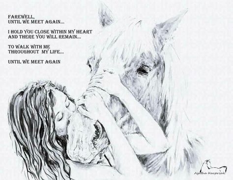 When you have to say goodbye friend Horse Poems, Horse Memory, Equine Quotes, Cowgirl Quote, Animal Line Drawings, Horse Ownership, Horse Jokes, Inspirational Horse Quotes, Horse Riding Quotes