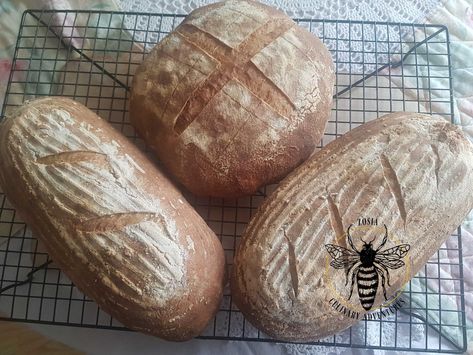 Handcrafted Ezekiel sourdough loaf — Zosia Culinary Adventures Ezekial Bread, Spelt Sourdough Bread, Plant Based Proteins, Ezekiel Bread, Sourdough Loaf, Sprouted Grains, Spelt Flour, Healthy Bread, Sourdough Bread Recipe