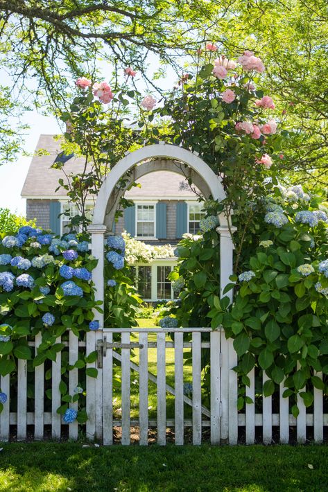 Nantucket Garden, Things To Do In Nantucket, Nantucket Hydrangea, Nantucket Gardens, New England Cottage, Garden Gate Design, Garden Privacy, Lady Girl, Outdoor Backyard