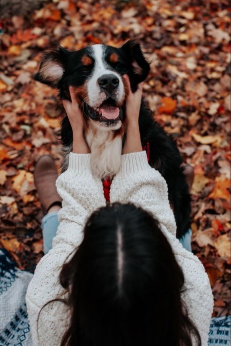 Mom And Dog Photoshoot Fall Ideas, Fall Dog And Owner Photoshoot, Bernese Mountain Dog Fall, Fall Pictures With Dog Photo Ideas, Mom And Dog Photoshoot Fall, Fall Pet Photoshoot, Pumpkin Patch Dog Photoshoot, Fall Picture Ideas For Couples With Dogs, Photo Shoot Ideas With Dogs