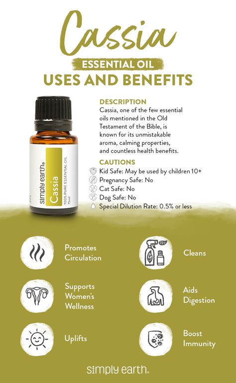 Cassia Essential Oil is a great way to help support your health. Not only does it positively affect your circulation, but it also has a wonderful effect on your mood. 🌿🌿🌿 #essentialoils #simplyearth #health Cassia Oil Benefits, Cassia Plant, Essential Oils Properties, Cassia Essential Oil, Oils Benefits, Fall Diffuser Blends, Benefits Of Essential Oils, Simply Earth, Essential Oil Education