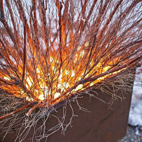 Reuse Tangled Lights Holiday Planters Front Porches Diy, Winter Containers Planters, Outside Christmas Lights Ideas, Winter Gazebo, Birch Tree Decor Christmas, Christmas Lighting Ideas, Best Outdoor Christmas Decorations, Winter Planter, Burning Bush