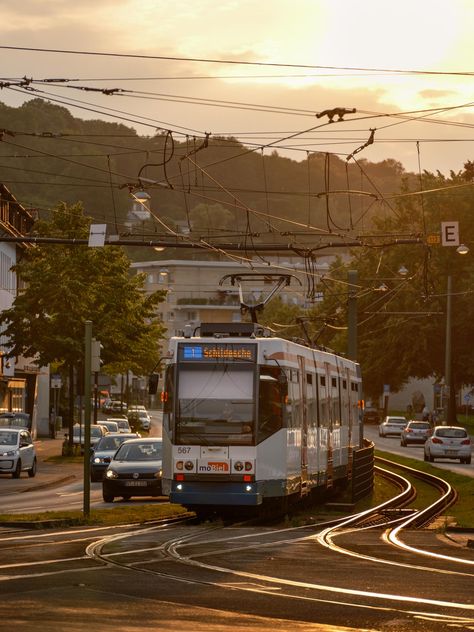 Tram on the Kreuzstraße in July 2021 (Bielefeld, Germany). Germany Aesthetic, Bielefeld Germany, Photography Fujifilm, City Concept, Urban Mobility, Window Reflection, Light Rail, Big Flowers, Call Center