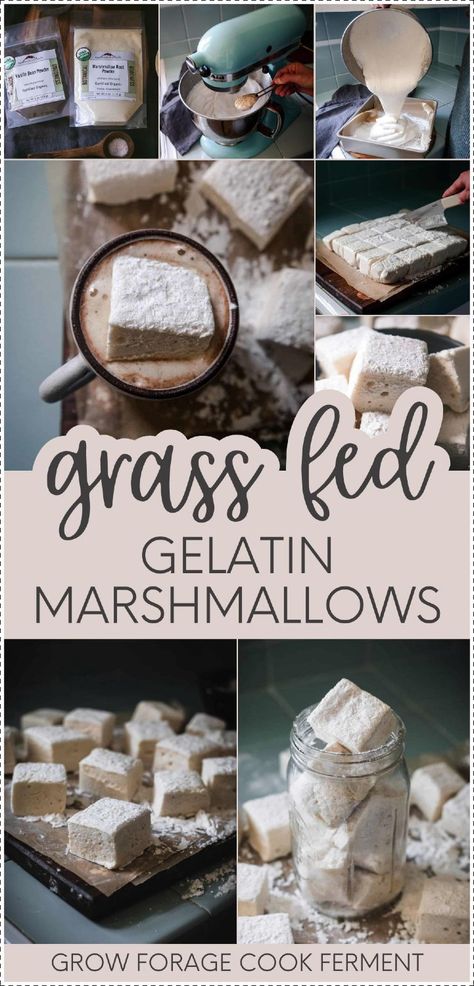 Try these delicious grass fed gelatin marshmallows made with marshmallow root and raw honey. This natural recipe creates fluffy, squishy marshmallows perfect for roasting over a fire or melting in hot chocolate, with added health benefits from marshmallow root. Find more winter desserts, wild food foraging, natural remedies, and Homestead Survival at growforagecookferment.com. Gelatin Marshmallows, Cast Iron Skillet Desserts, Iron Skillet Desserts, Homemade Herbal Tea, Easy Shortbread Cookies, Natural Cereal, Seasonal Recipes Fall, Easy Shortbread, Homemade Marshmallow Recipe